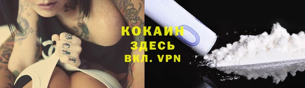 эйфоретик Беломорск