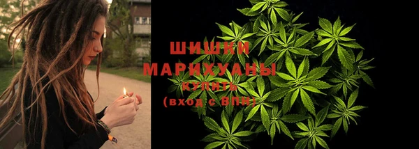 эйфоретик Беломорск