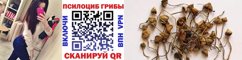 Галлюциногенные грибы Magic Shrooms  Няндома 